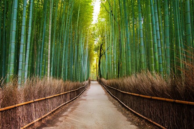 Arashiyama Walking Tour - Bamboo Forest, Monkey Park & Secrets - Meeting the Playful Monkeys at the Park