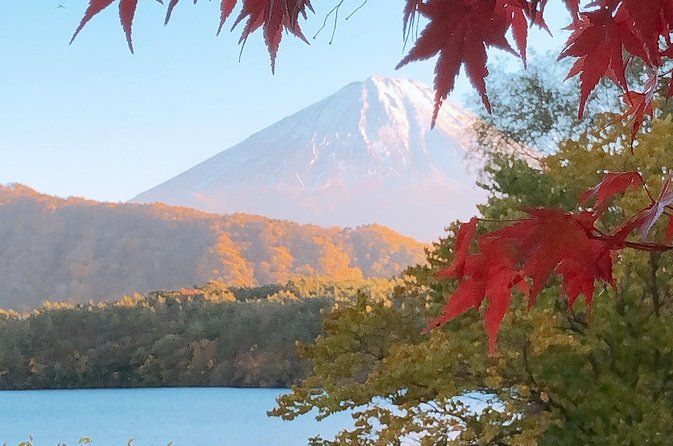 Day Private Mt Fuji Sightseeing Tour In Car Or Van With English Speaking Driver