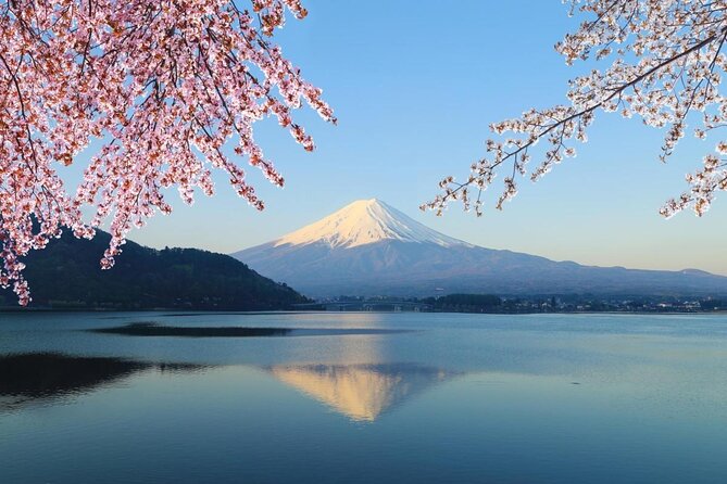 1 Day Private Mt Fuji Tour (Charter) With English Speaking Driver