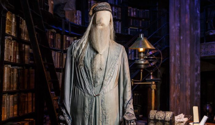 experience costumes dumbledore