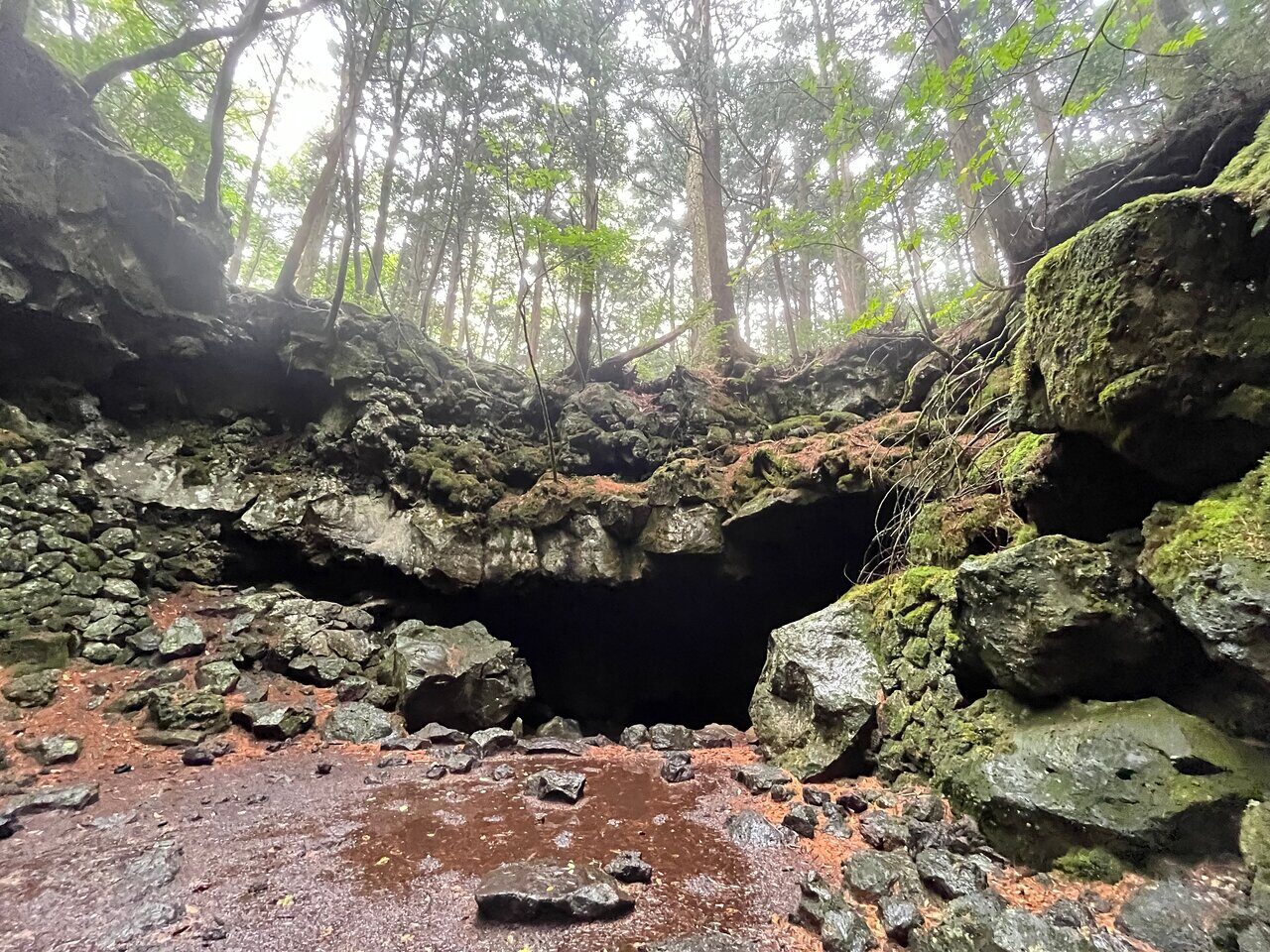 explore-mt-fuji-ice-cave-in-aokigahara-forest2