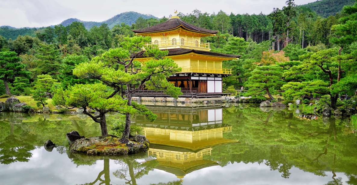 From Osaka or Kyoto: Kyoto & Nara 1 Day Bus Tour - Quick Takeaways