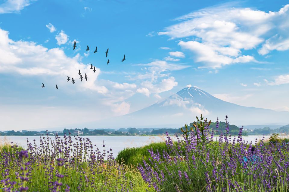 From Tokyo: 1-Day Private Mt. Fuji Tour by Car - Quick Takeaways