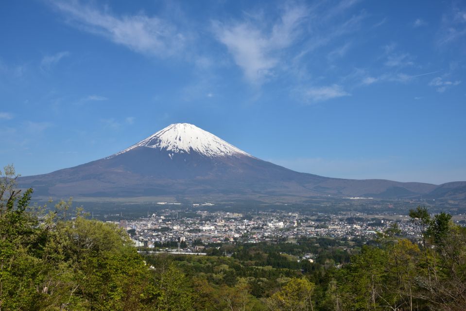 From Tokyo: 1 Day (SIC) Mount Fuji Gotemba Premium Outlet - Quick Takeaways