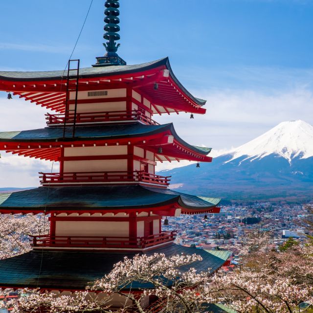 From Tokyo: Mount Fuji and Hakone Private Day Tour - Quick Takeaways