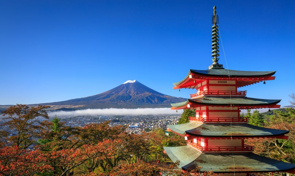 From Tokyo: Mt. Fuji or Hakone Private Sightseeing Day Trip - Quick Takeaways