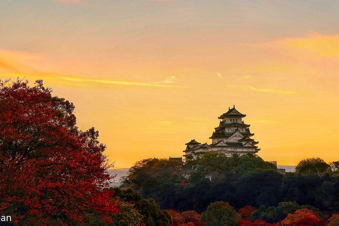 Himeji Half-Day Private Tour With Government-Licensed Guide - Tour Highlights and Itinerary