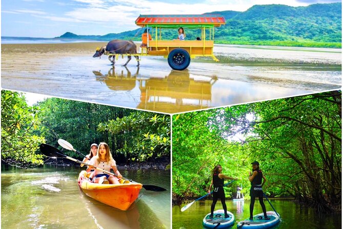 [Iriomote] SUP / Canoe Tour at Mangrove Forest Sightseeing in Yubujima Island - Discover the Enchanting Mangrove Forest of Yubujima Island