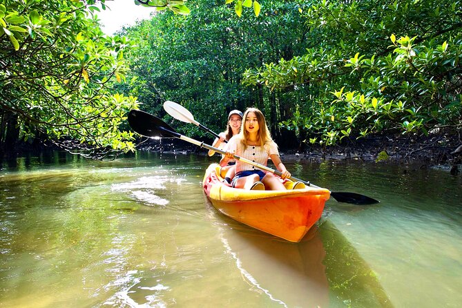 [Iriomote] SUP / Canoe Tour at Mangrove Forest Snorkeling Tour at Coral Island - Unforgettable SUP and Canoe Tour in Iriomote