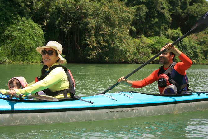 Kayak Mangroves or Coral Reef: Private Tour in North Okinawa - Private Tour: Paddling Through the Mangroves of North Okinawa