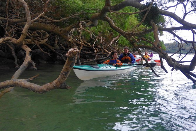 Kayak Mangroves or Coral Reef: Private Tour in North Okinawa - North Okinawa Escape: Kayaking Through Mangroves or Snorkeling in Coral Reefs