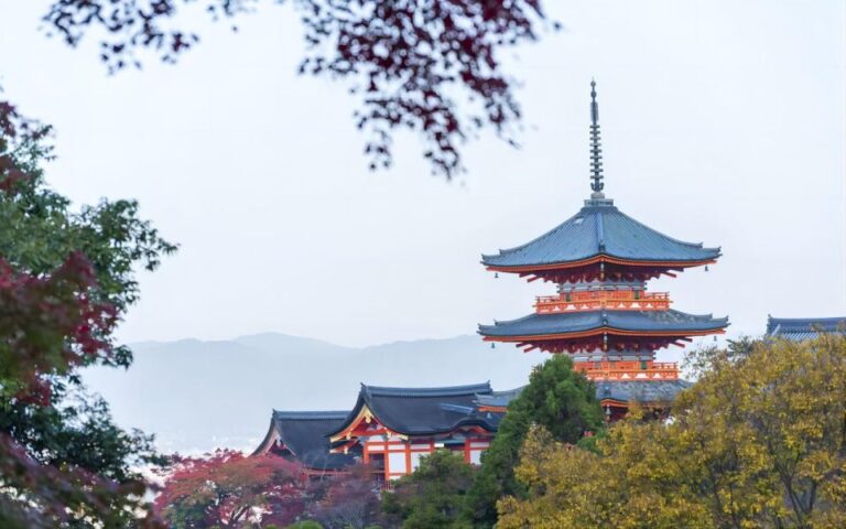 Kyoto: 10-Hour Customizable Private Tour With Hotel Transfer