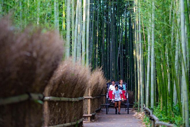 kyoto-arashiyama-rickshaw-tour-with-bamboo-forest4