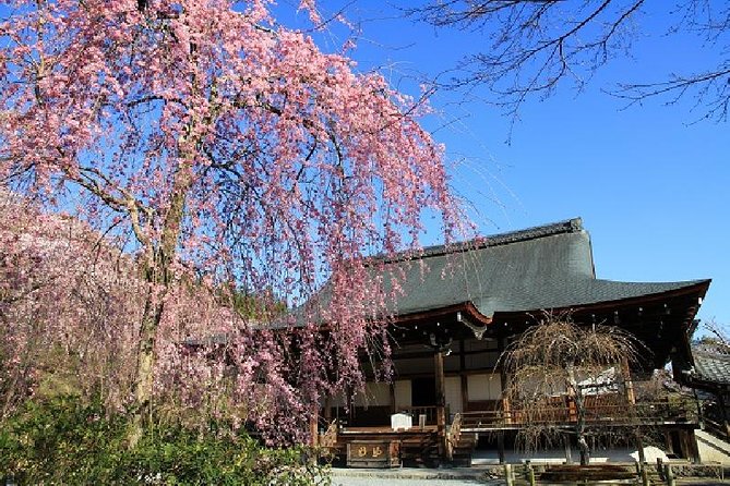 Kyoto Sagano Bamboo Grove & Arashiyama Walking Tour - Exploring the Peaceful Sagano Bamboo Groves