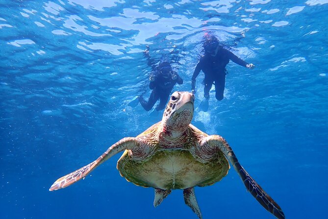 Miyakojima Snorkeling in the Sea With Turtles - What to Bring for a Successful Snorkeling Adventure in Miyakojima