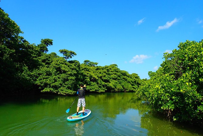 Miyara River 90-Minute Small-Group SUP or Canoe Tour - What to Expect on the 90-Minute Tour
