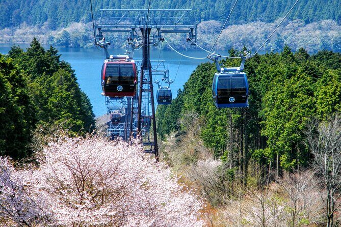 mt-fuji-and-hakone-1-day-bus-tour-by-bus7