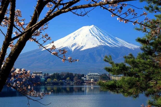 Mt.Fuji and Hakone Tour - Quick Takeaways