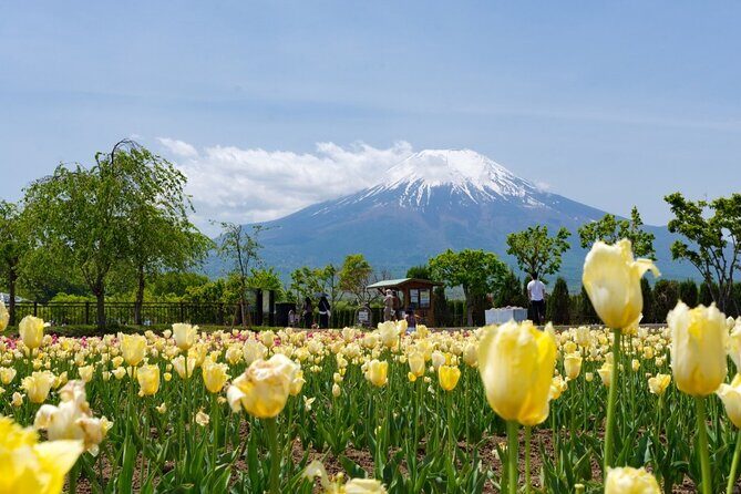 mt-fuji-private-customize-tour-with-english-speaking-guide9