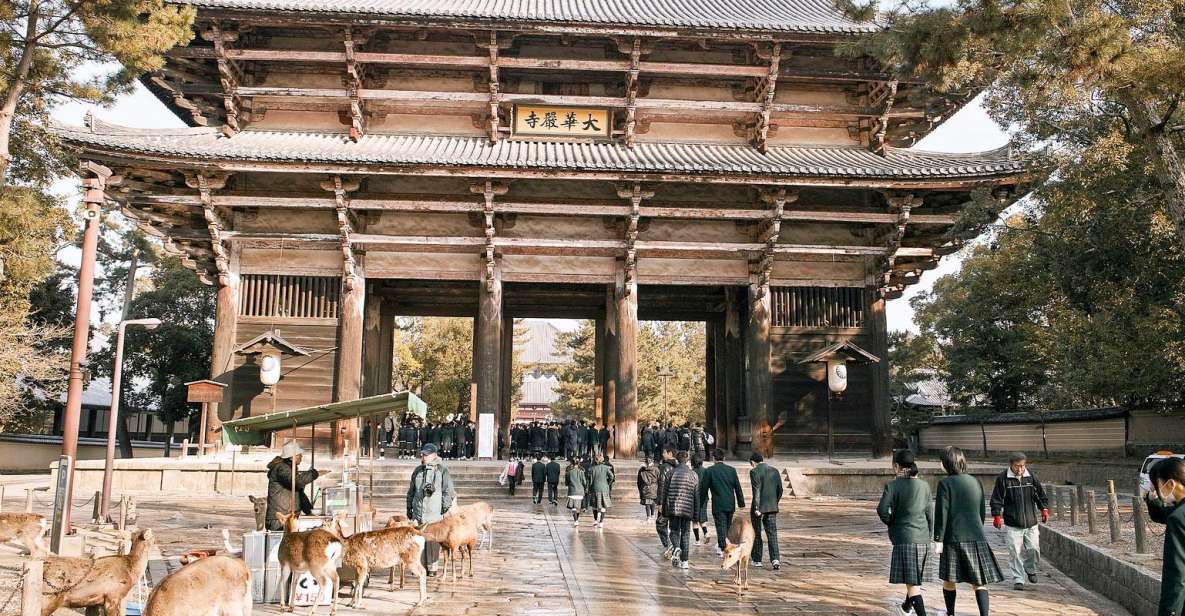 Nara Like a Local: Customized Guided Tour - Quick Takeaways