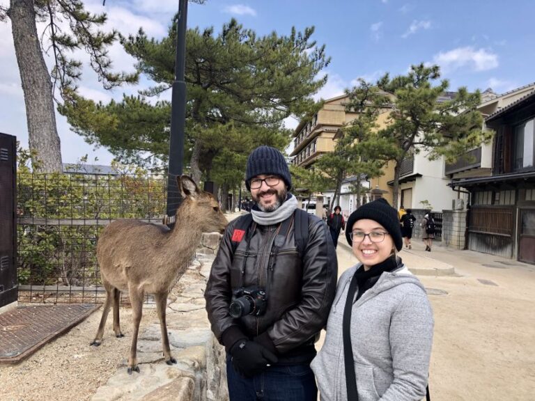 Nara: Private Tour With Private Guide