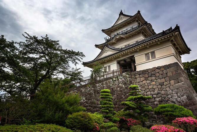 Odawara Castle and Town Guided Discovery Tour - Quick Takeaways