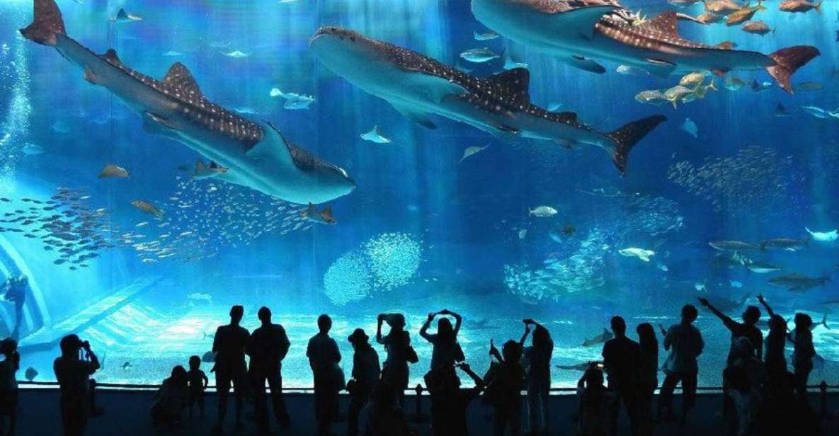 Okinawa Churaumi Aquarium Admission Ticket - Quick Takeaways