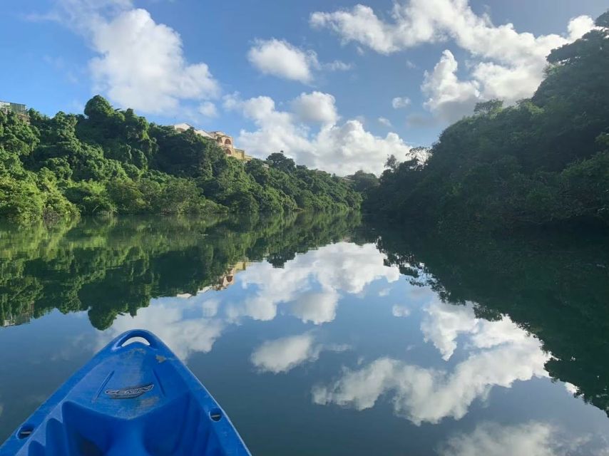 Okinawa: Mangrove Kayaking Tour - Quick Takeaways