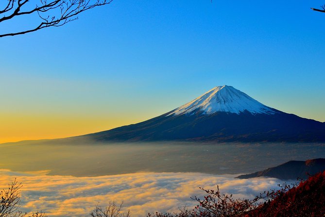Private Day Tour From Tokyo To Mount Fuji Amp Hakone