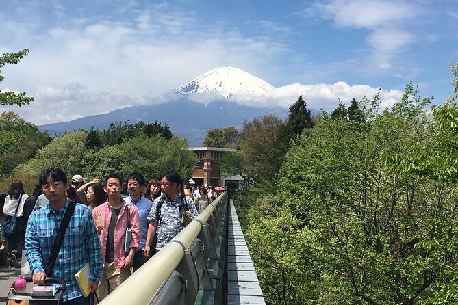 Private Mt Fuji And The Gotemba Outlet In One Day From Tokyo