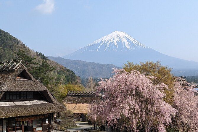Private Tour Chartered Car To Mt Fuji And Hakone Lake Ashi
