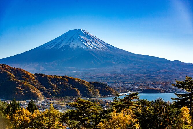 Scenic Spots of Mt Fuji and Lake Kawaguchi 1 Day Bus Tour - Abundance of Flowers and Mountain Views at Oishi Park