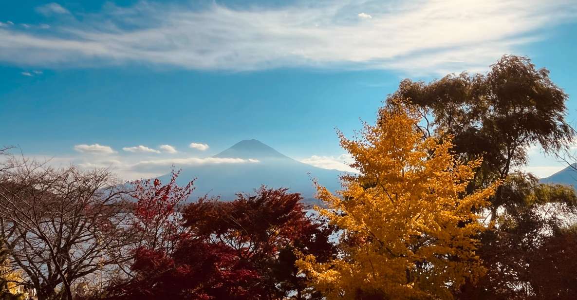 Shinjuku: Mount Fuji Panoramic View and Shopping Day Tour - Quick Takeaways