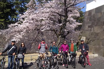Small Group Cycling Tour in Tokyo - Soak in the Vibrant Atmosphere of Tokyo on a Cycling Adventure