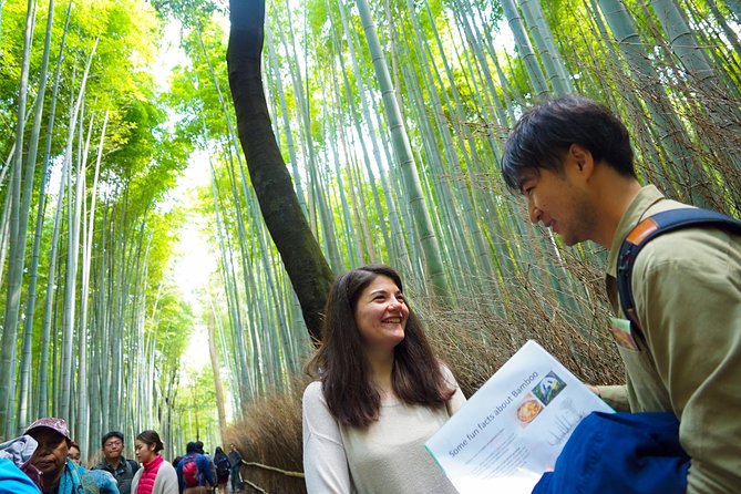 Small-Group Walking Tour With Kyoto-Style Lunch, Arashiyama - Exploring the Enchanting Arashiyama District