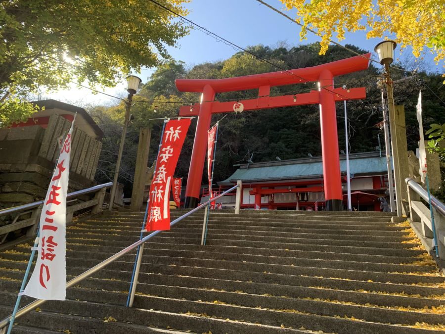 Tokushima Awa Odori Experience Tour