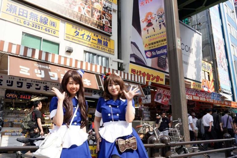 Tokyo: Akihabara 2-Hour Guided Walking Tour