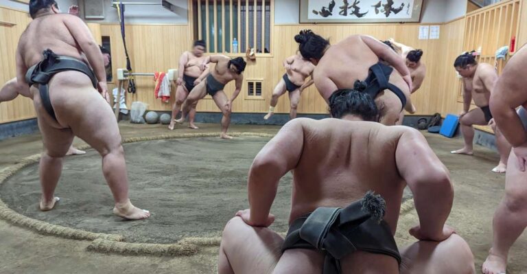 Tokyo: Morning Sumo Practice Viewing