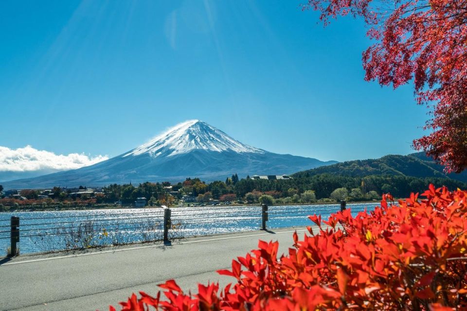 Tokyo: Mt Fuji Area, Lake Ashi, Owakudani, Onsen 1-Day Tour - Quick Takeaways