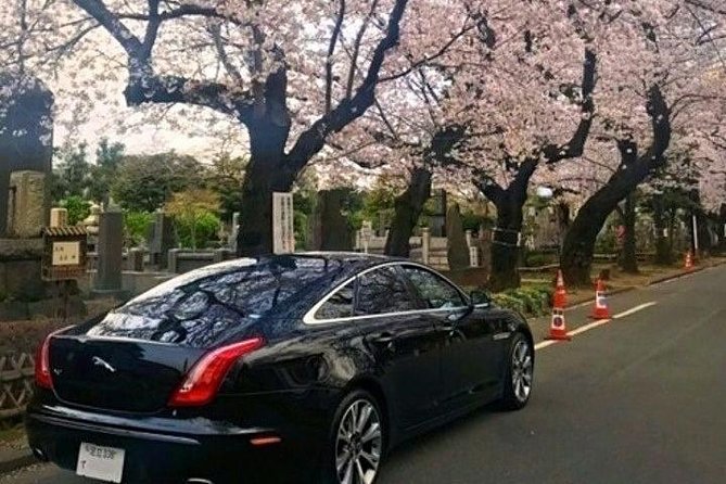 Tokyo Private Chauffeur Driving Sightseeing Tour With English Speaking Driver