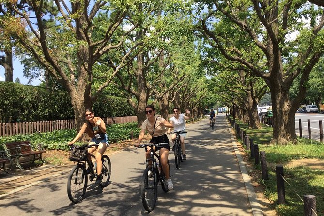 Tokyo Small Group Cycling Tour