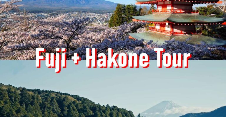 Tokyo to Mount Fuji and Hakone Private Full-day Tour
