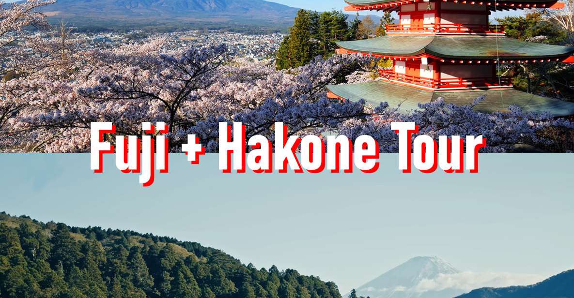 Tokyo to Mount Fuji and Hakone Private Full-day Tour - Quick Takeaways