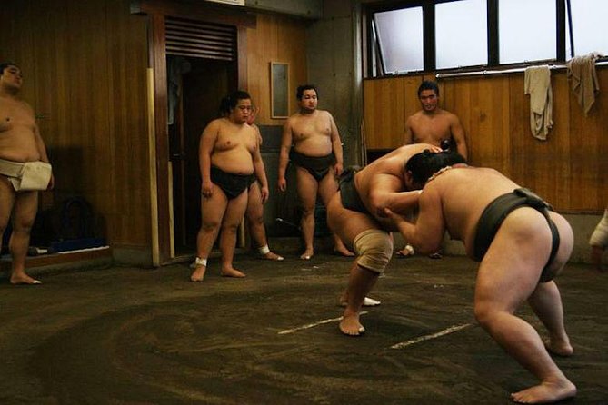 Watch Morning Practice at a Sumo Stable in Tokyo - What to Expect at a Sumo Stable in Tokyo