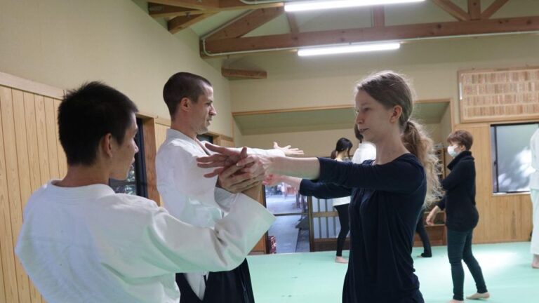 What Is Aikido? (An Introduction to the Japanese Martial Art