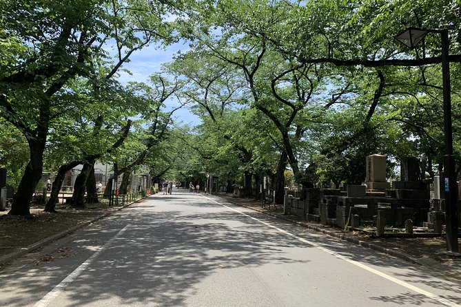 history Of Yanaka Walking Tour In Tokyo's Old Town - A Walk Through Time: Discovering Yanakas History